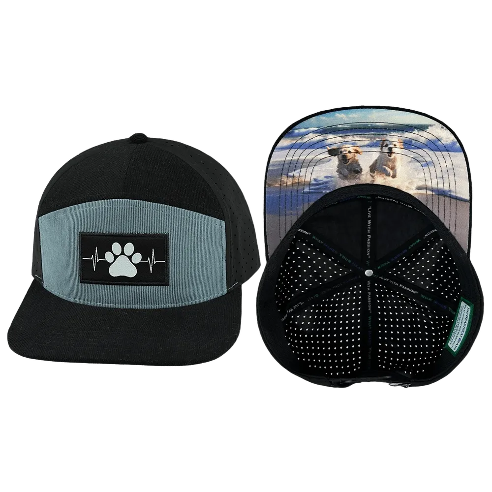Dog Hat | Flat Bill | Corduroy - Black - Gray Blue