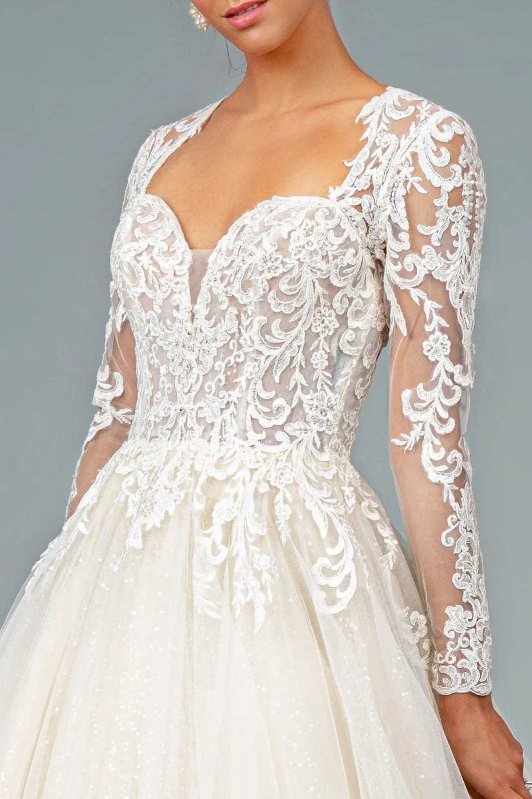 Illusion V-Neck Embroidered Mesh w/ Sequin Lining Long Wedding Dress GLGL1804