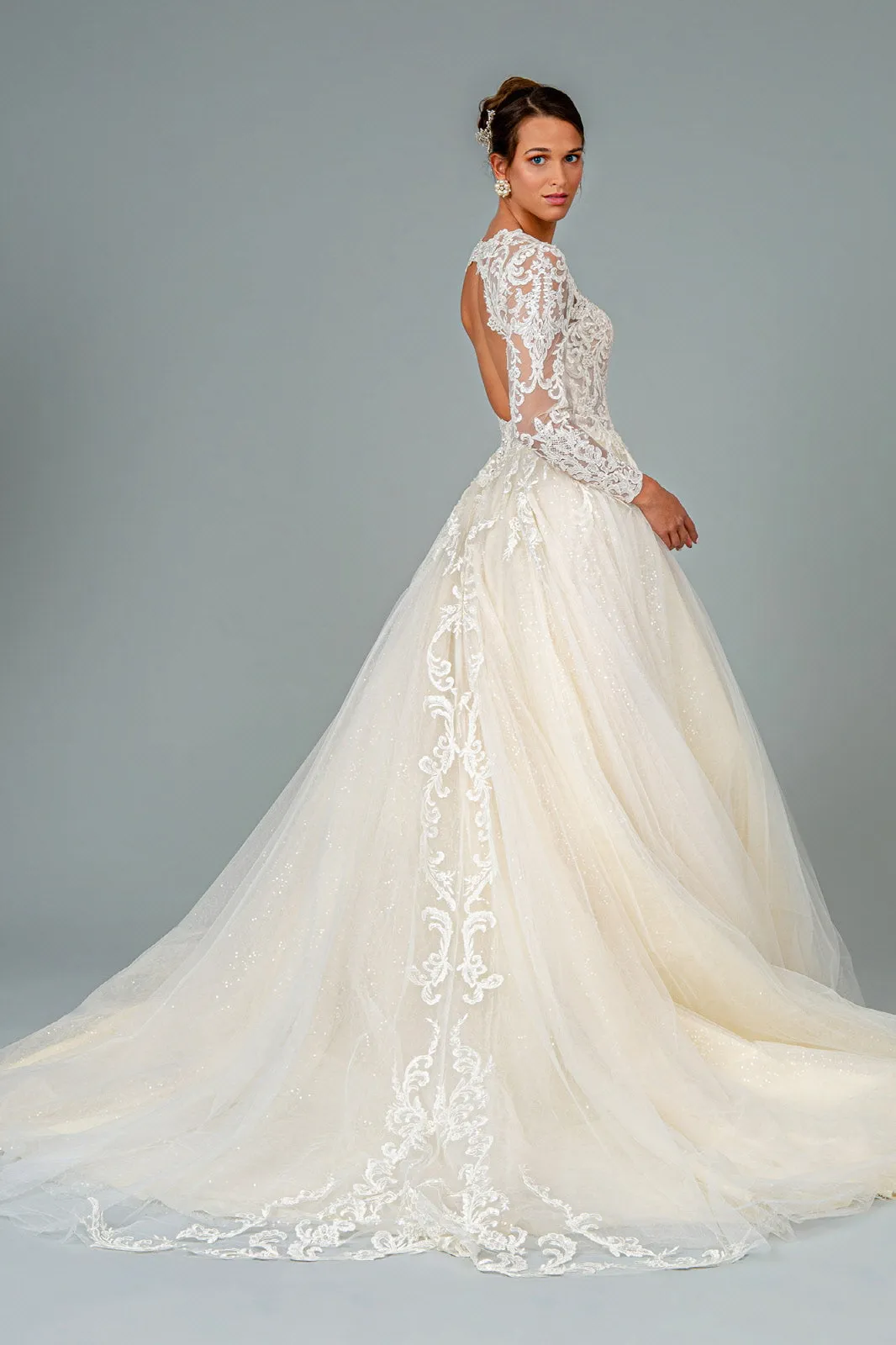 Illusion V-Neck Embroidered Mesh w/ Sequin Lining Long Wedding Dress GLGL1804